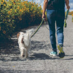 Do walker walik pain free form Better Custom Foot Support Aspen Colorado Limitless Feet
